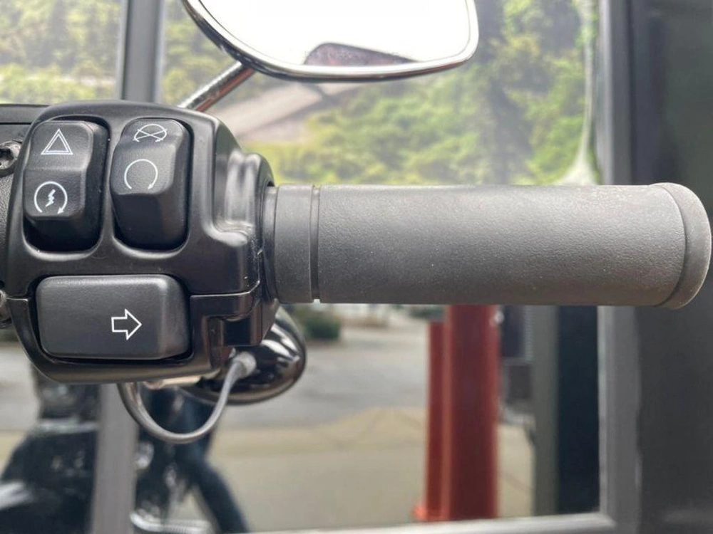 2021 Harley-davidson Flsl - Softail Slim™ alt