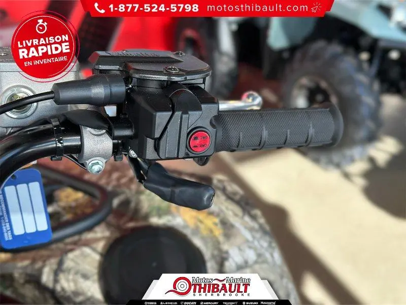 2026 Yamaha Grizzly DAE Camo