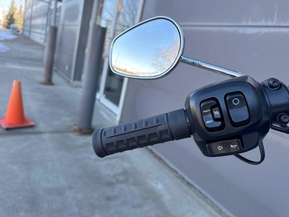 2025 Harley-davidson Flfb - Fat Boy™ alt