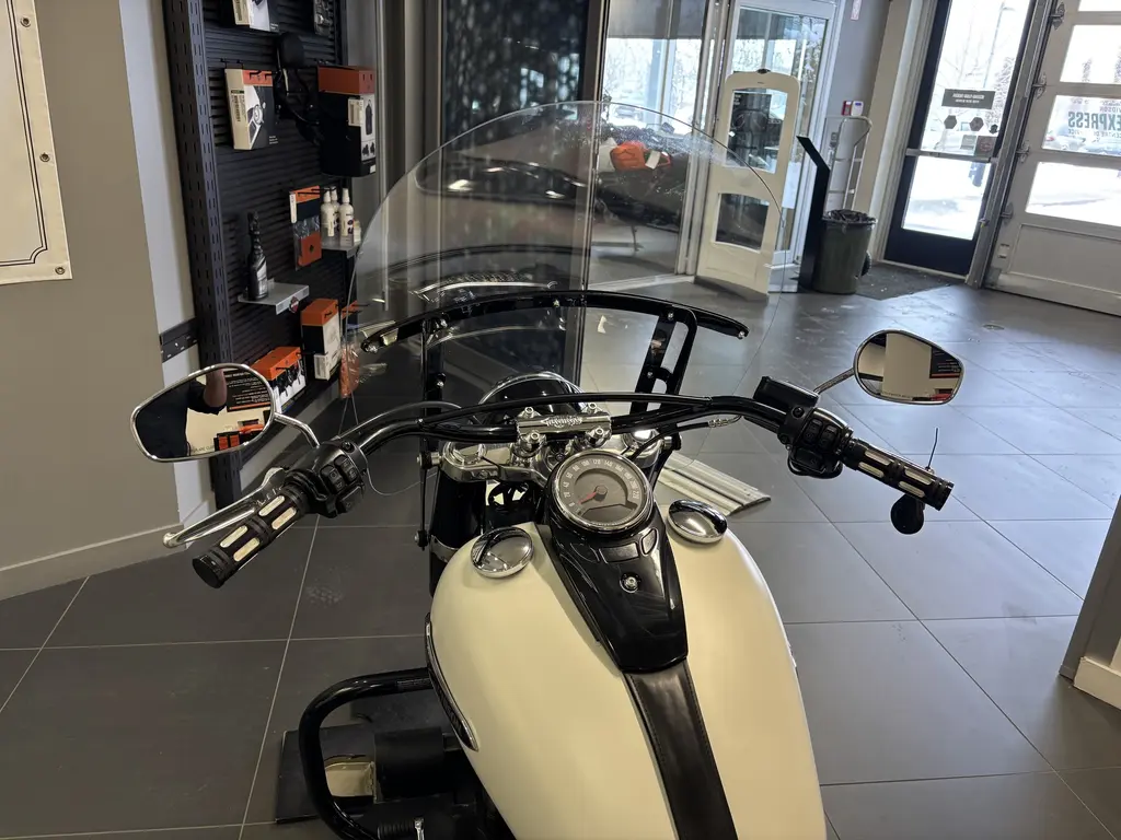 2019 Harley-Davidson FLSL Softail SlimFLSL