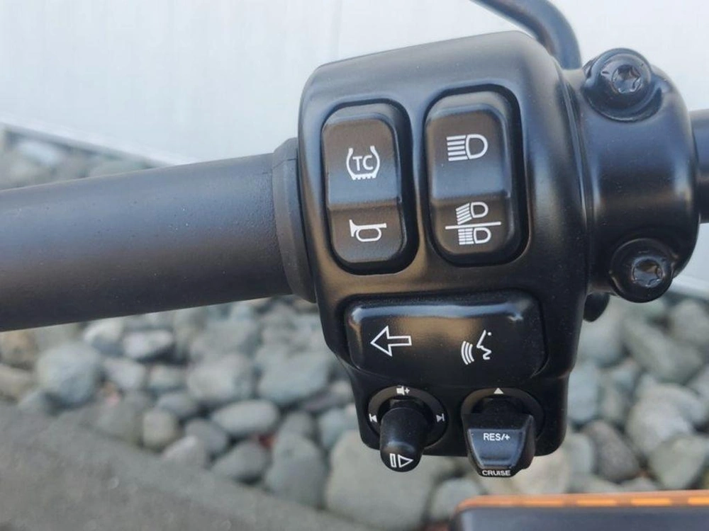 2020 Harley-davidson Elw - Livewire™ alt