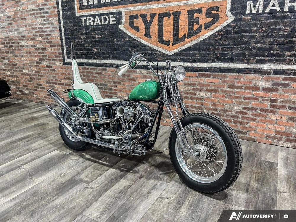 1981 Harley-davidson Fxef Custom alt