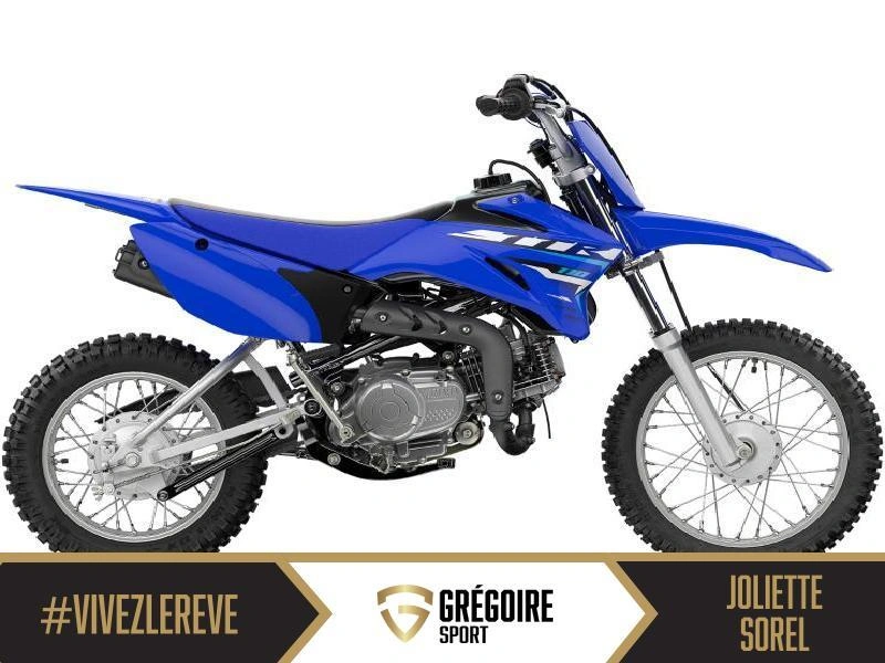 Yamaha Tt-r110 2026 alt