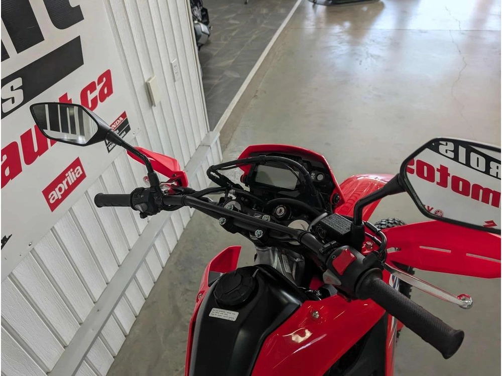 2025 Honda Crf300l alt