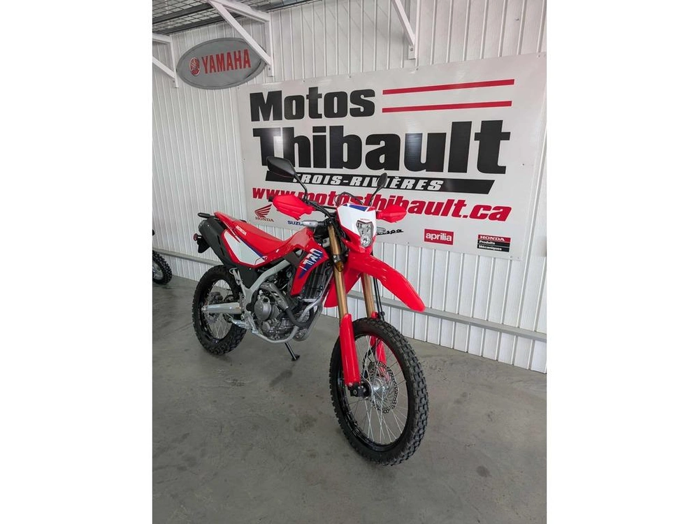 2025 Honda Crf300l alt