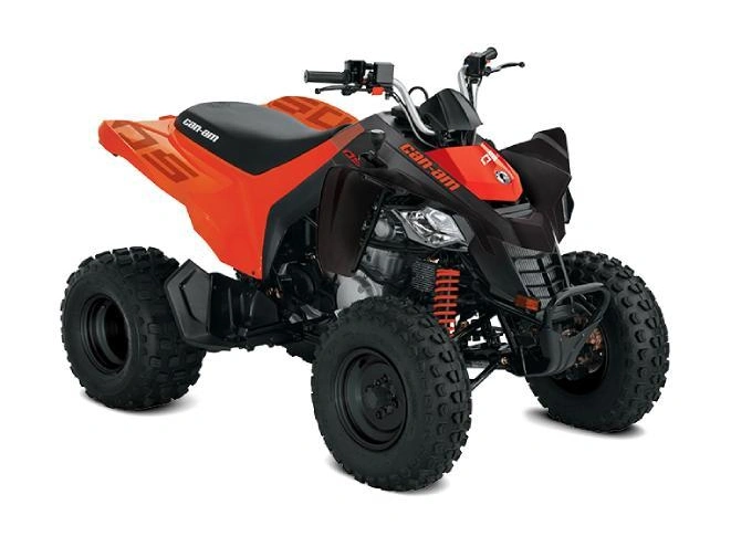 Can-am Ds 250 2026 alt