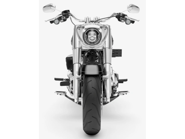 2026 Harley-davidson Flfb Fat Boy alt