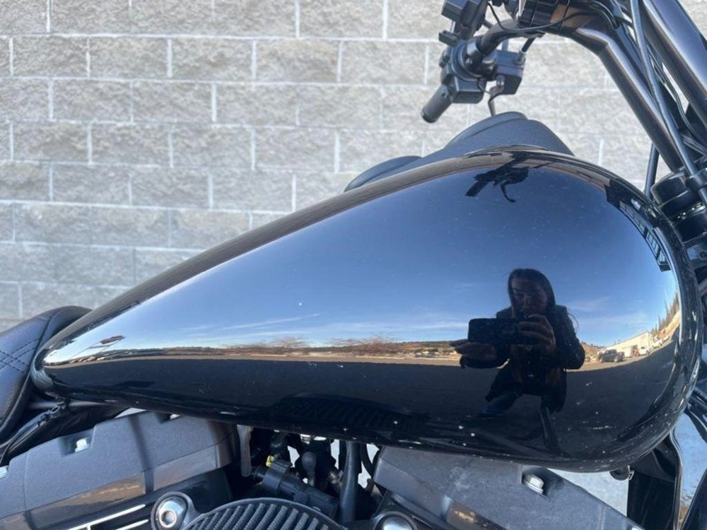 2017 Harley-davidson Fxdls - Low Rider® S alt