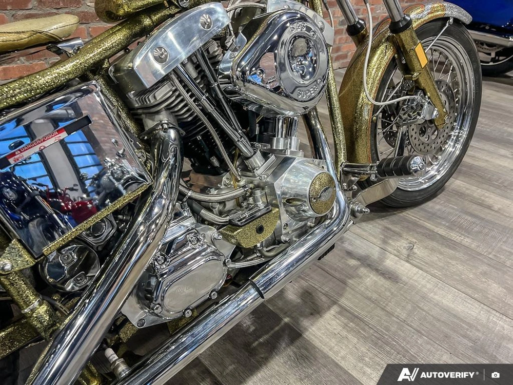 1975 Harley-davidson Fl-custom alt