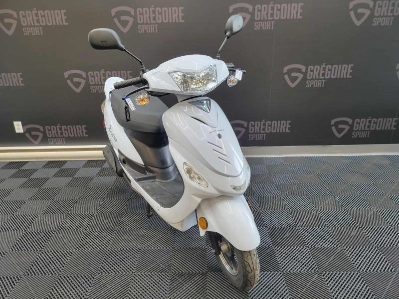 Scootterre Bistro 2023 alt