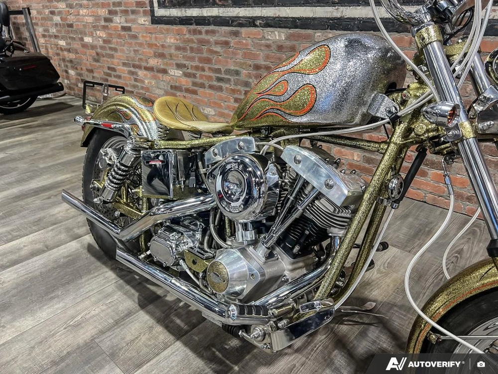 1975 Harley-davidson Fl-custom alt