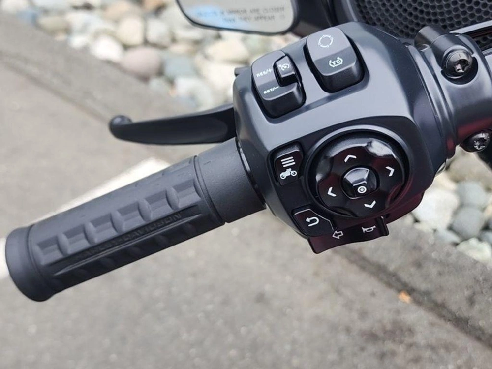 2025 Harley-davidson Flhx - Street Glide® alt