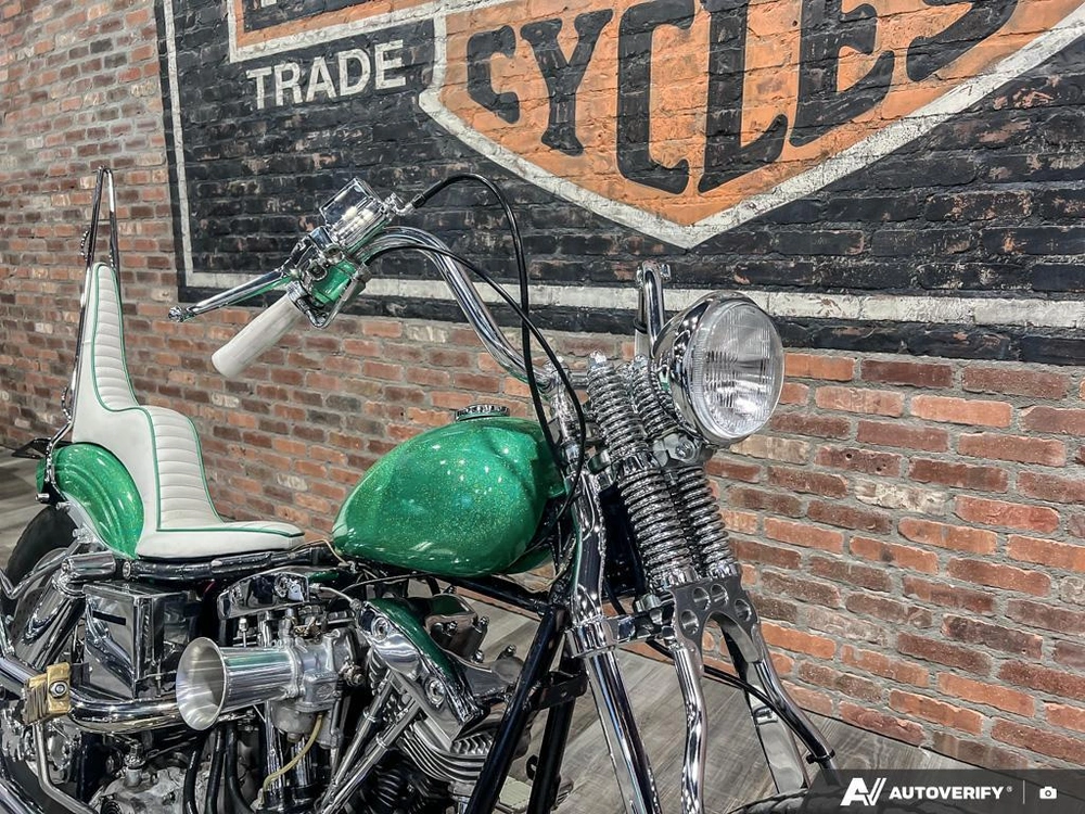 1981 Harley-davidson Fxef Custom alt