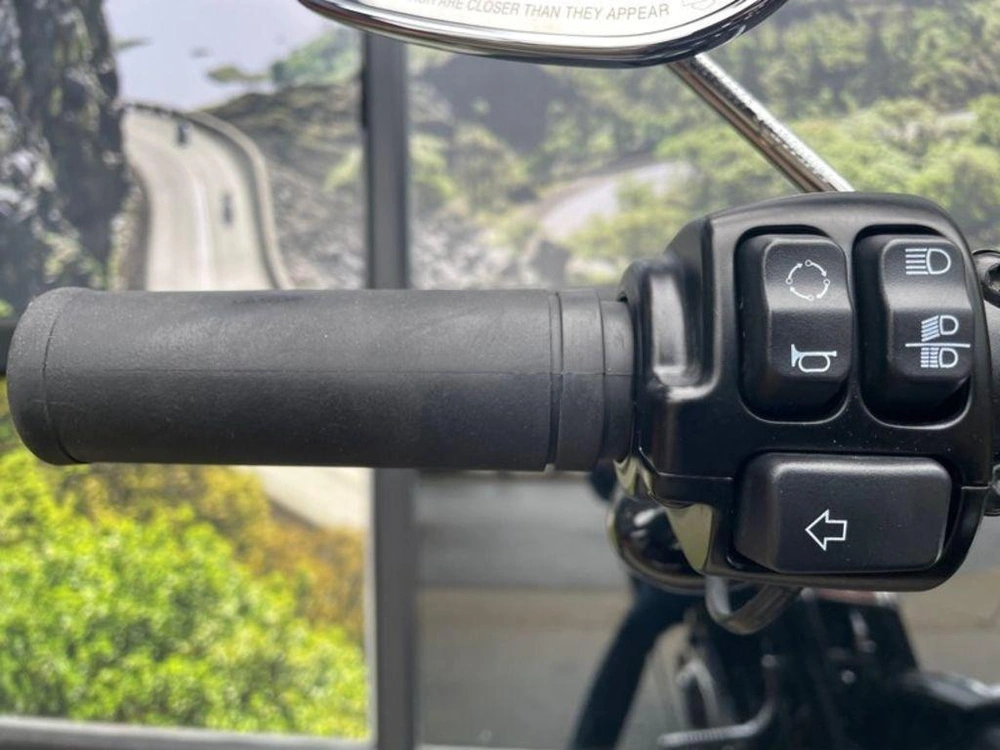 2021 Harley-davidson Flsl - Softail Slim™ alt