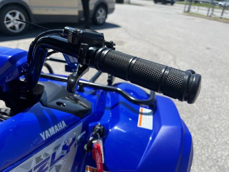 Yamaha Grizzly 110 2025 alt