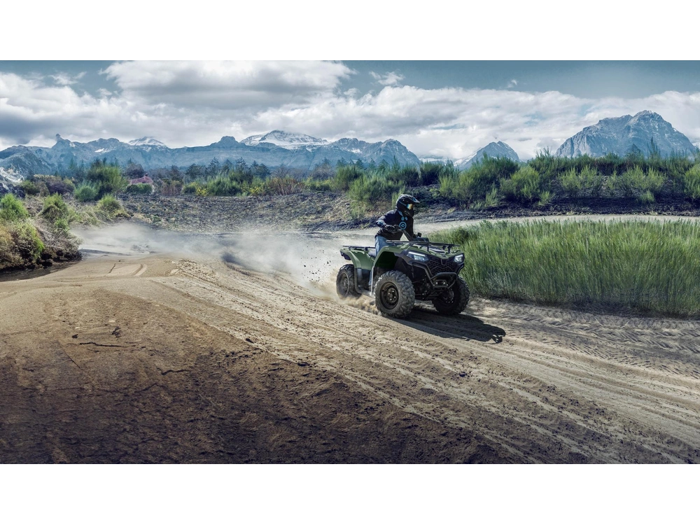 2025 Cfmoto Cforce 400 1up alt