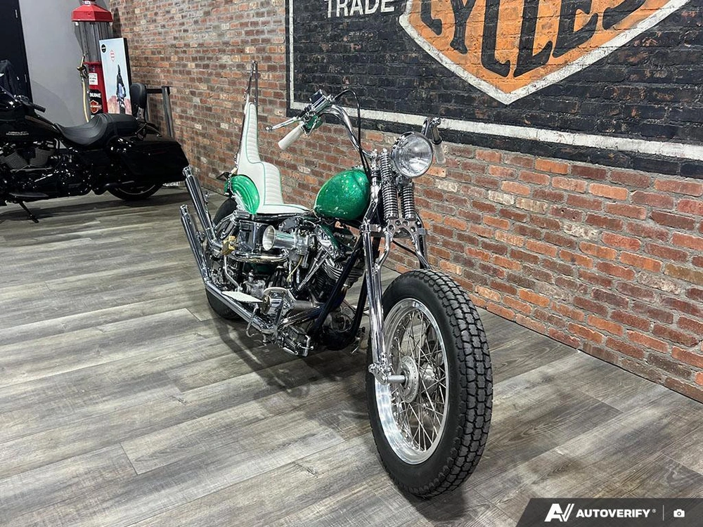 1981 Harley-davidson Fxef Custom alt