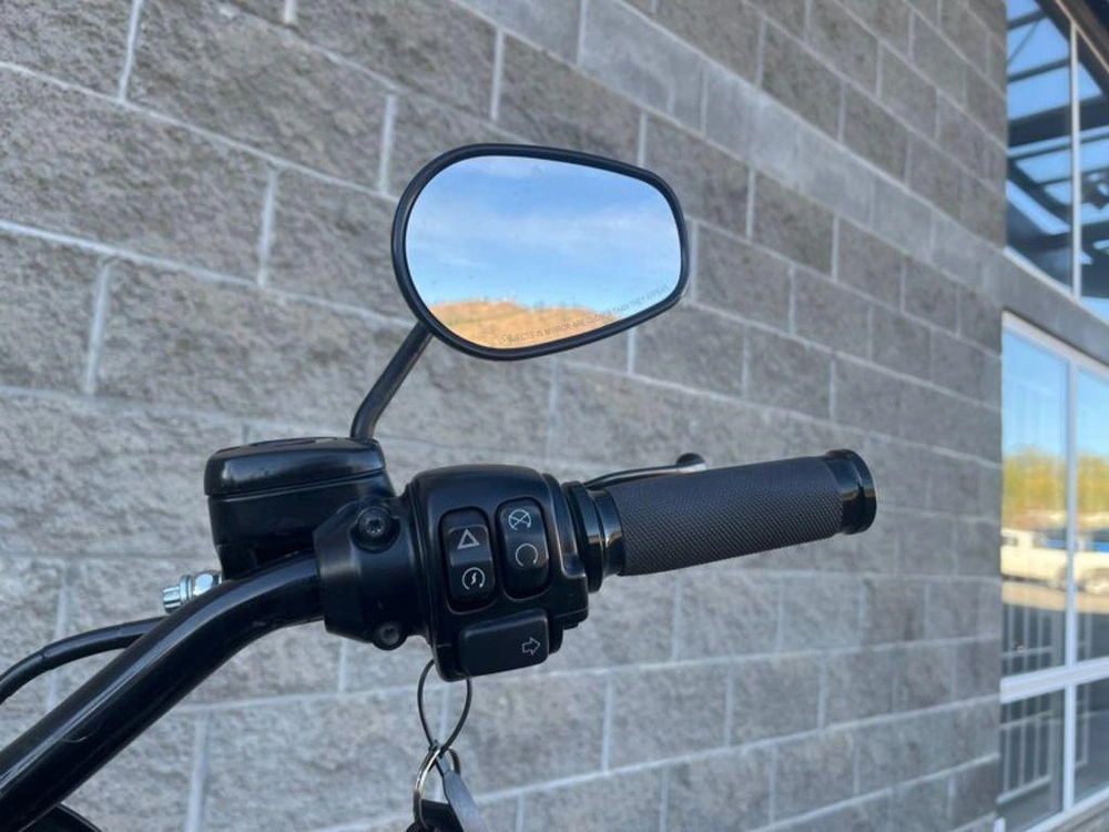 2017 Harley-davidson Fxdls - Low Rider® S alt