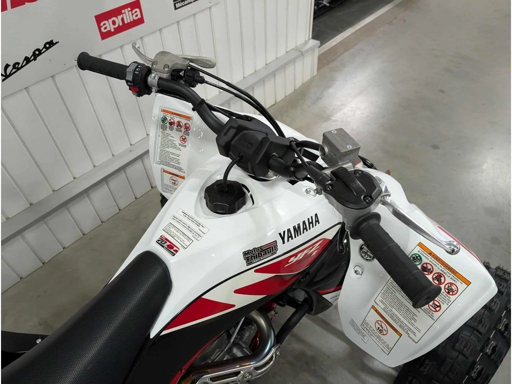2026 Yamaha Yfz450r Se alt