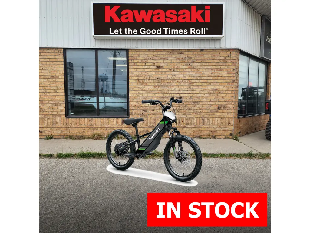 2025 Kawasaki Elektrode 20
