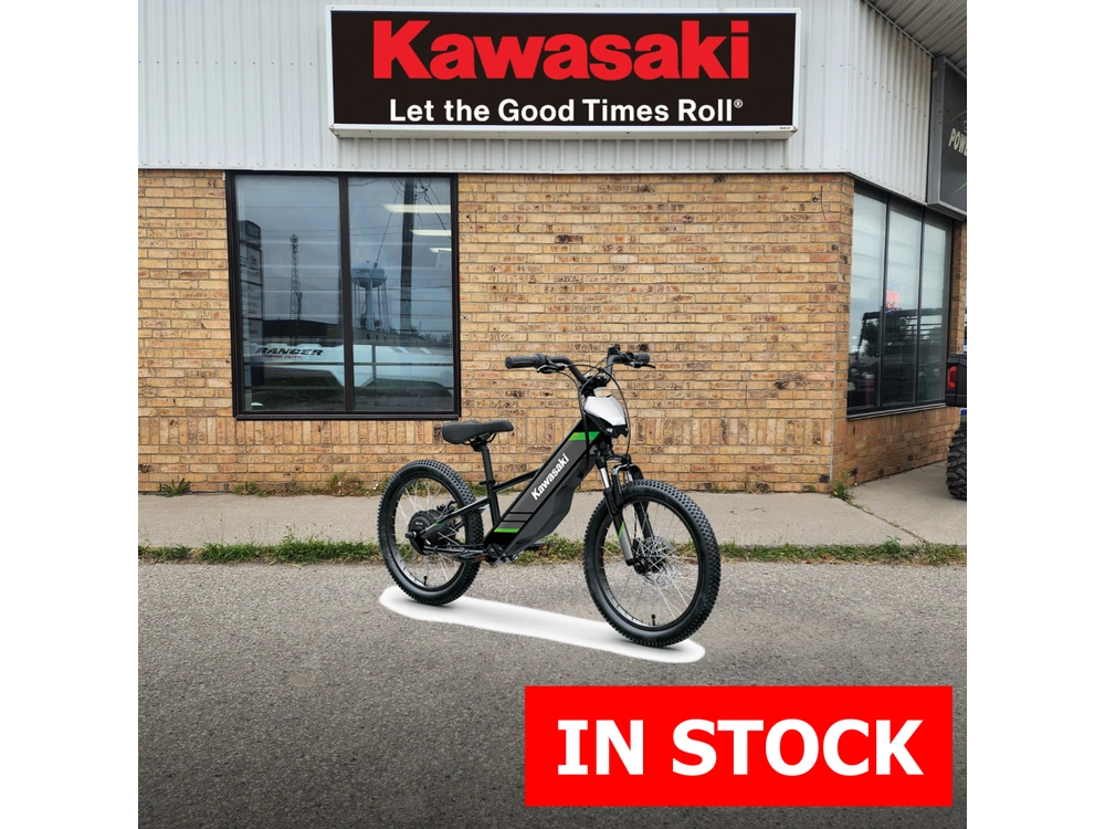 2025 Kawasaki Elektrode 20 alt