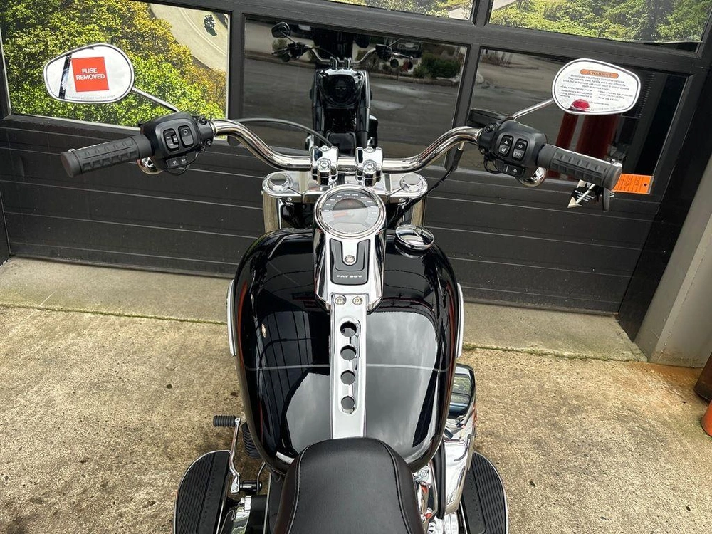 2025 Harley-davidson Flfb - Fat Boy™ alt