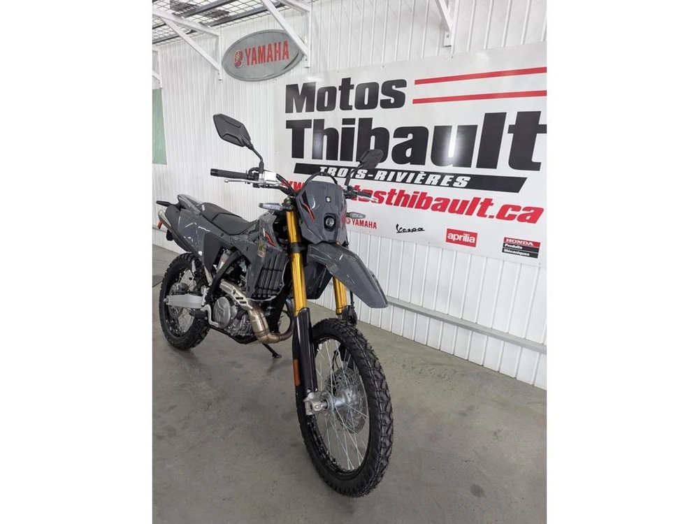 2025 Suzuki Dr-z400 alt