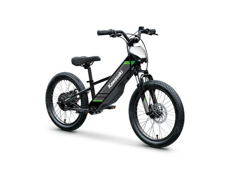 2025 Kawasaki Elektrode 20 alt