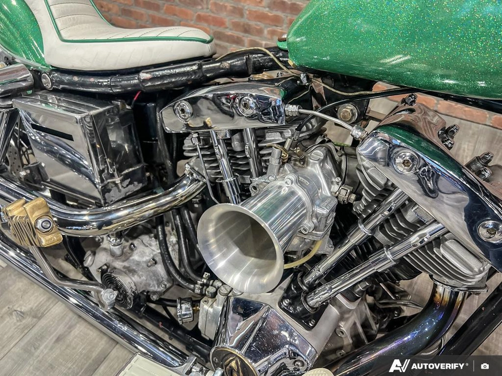 1981 Harley-davidson Fxef Custom alt