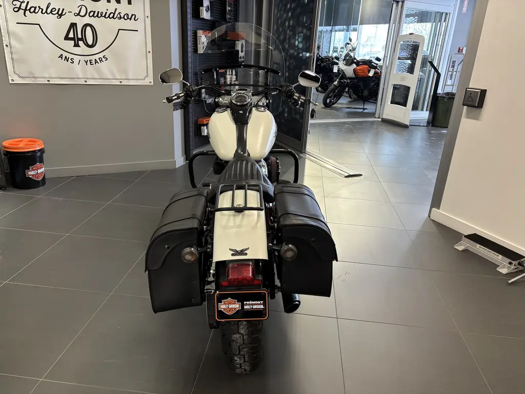 2019 Harley-Davidson FLSL Softail SlimFLSL