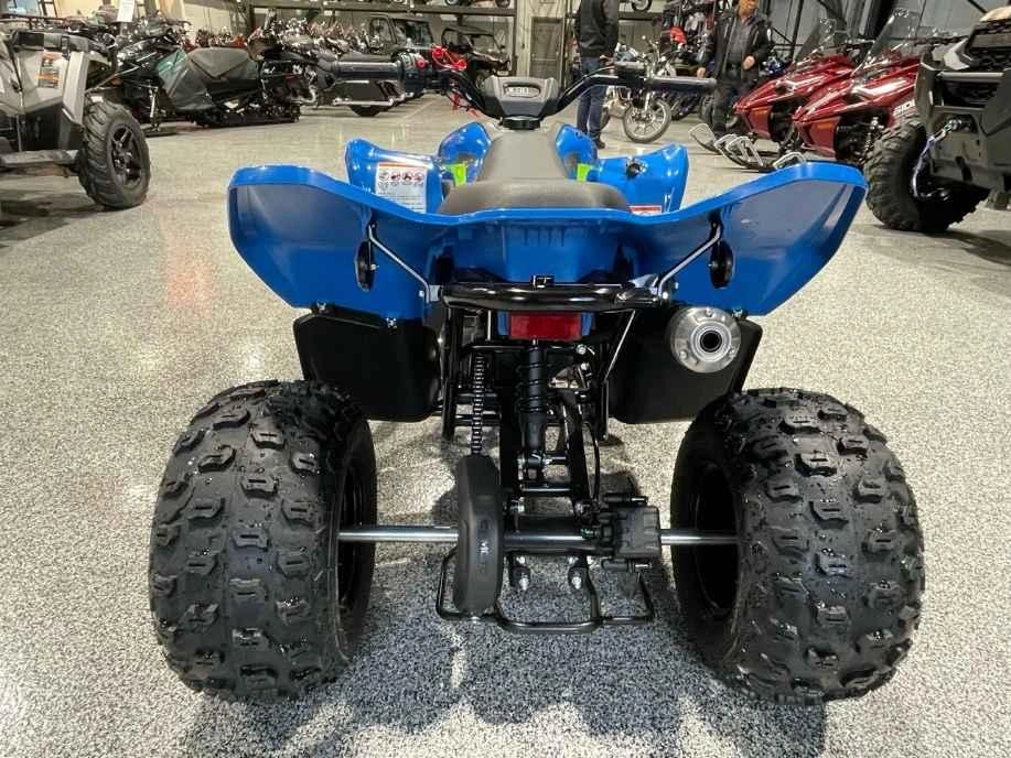 Cfmoto Cforce 110 Classic 2026 alt