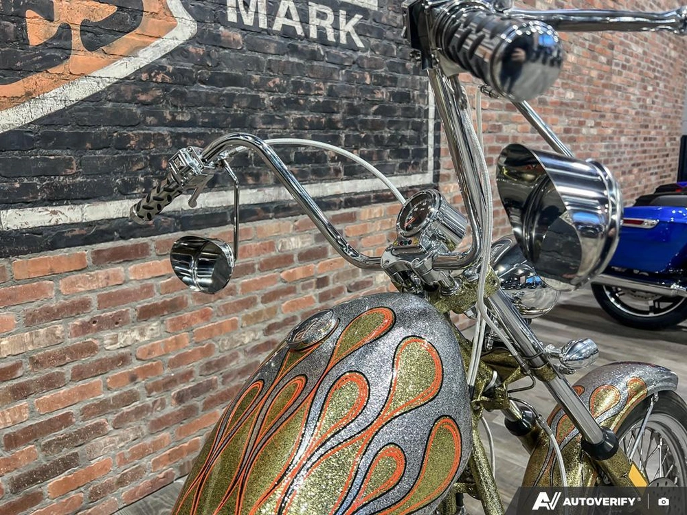 1975 Harley-davidson Fl-custom alt