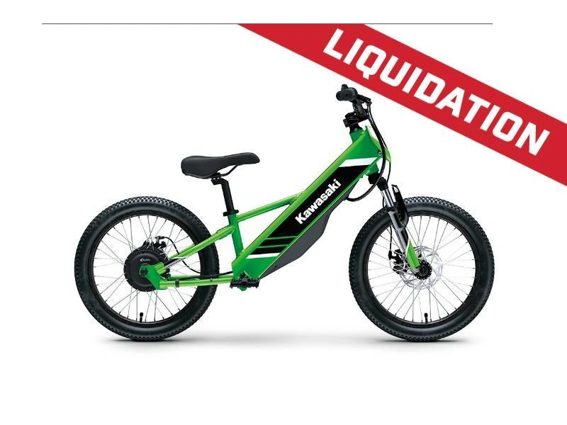 2025 Kawasaki Elektrode 20 alt