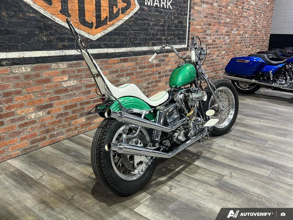 1981 Harley-davidson Fxef Custom alt