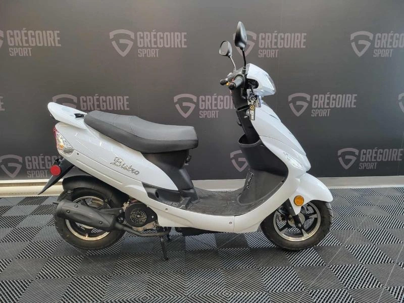 Scootterre Bistro 2023 alt