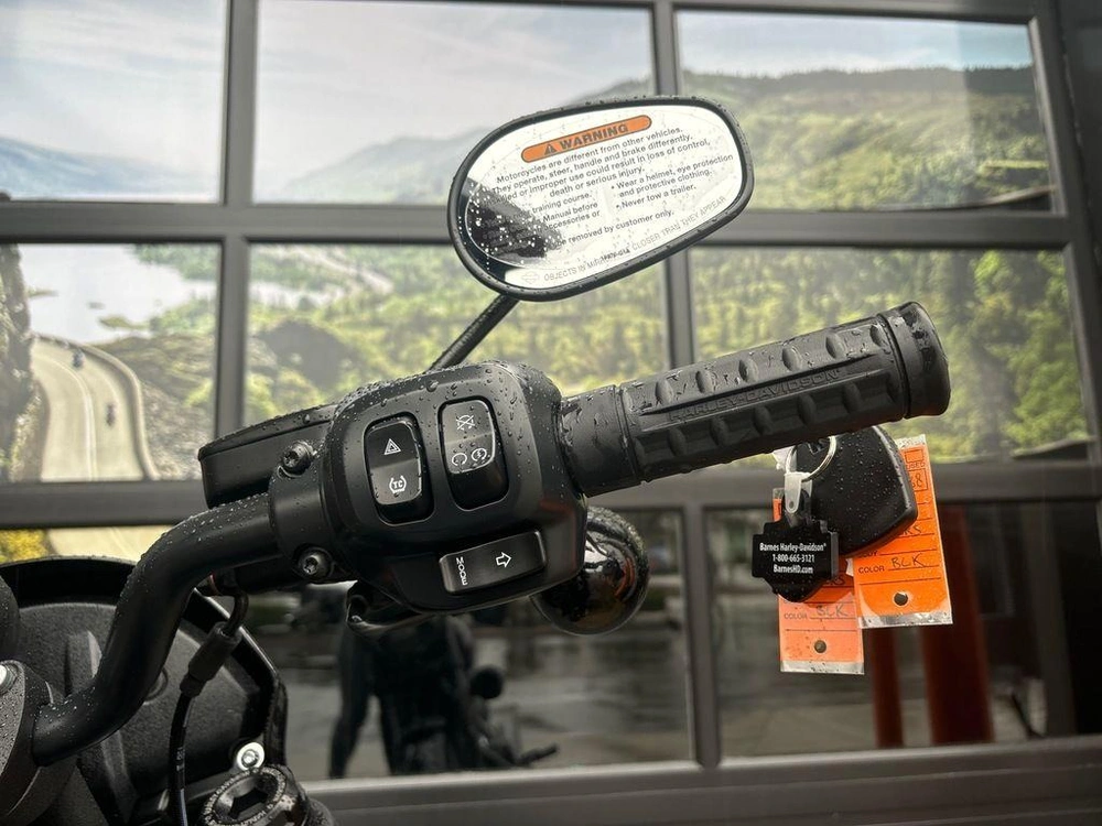 2025 Harley-davidson Fxlrs - Low Rider® S alt