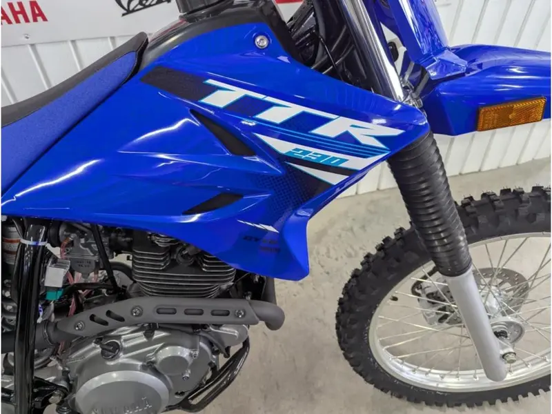 2025 Yamaha TTR230J TT-R230 thumbnail 6