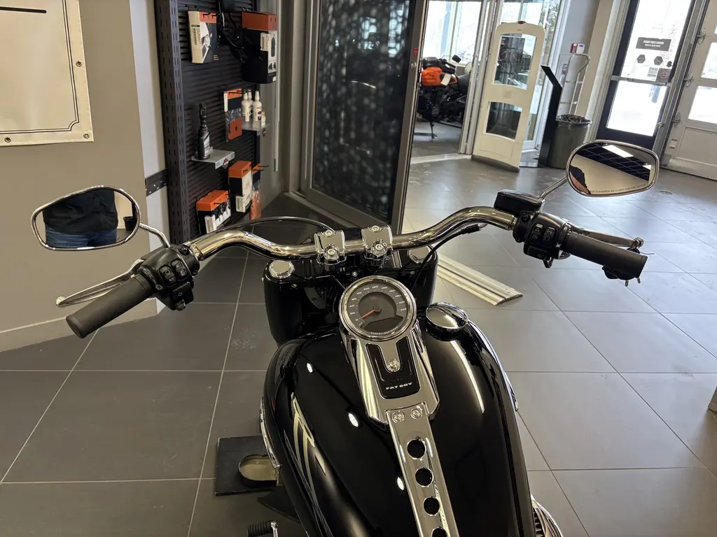 Harley-Davidson FATBOY 114 FLFBSFLFBS 2024