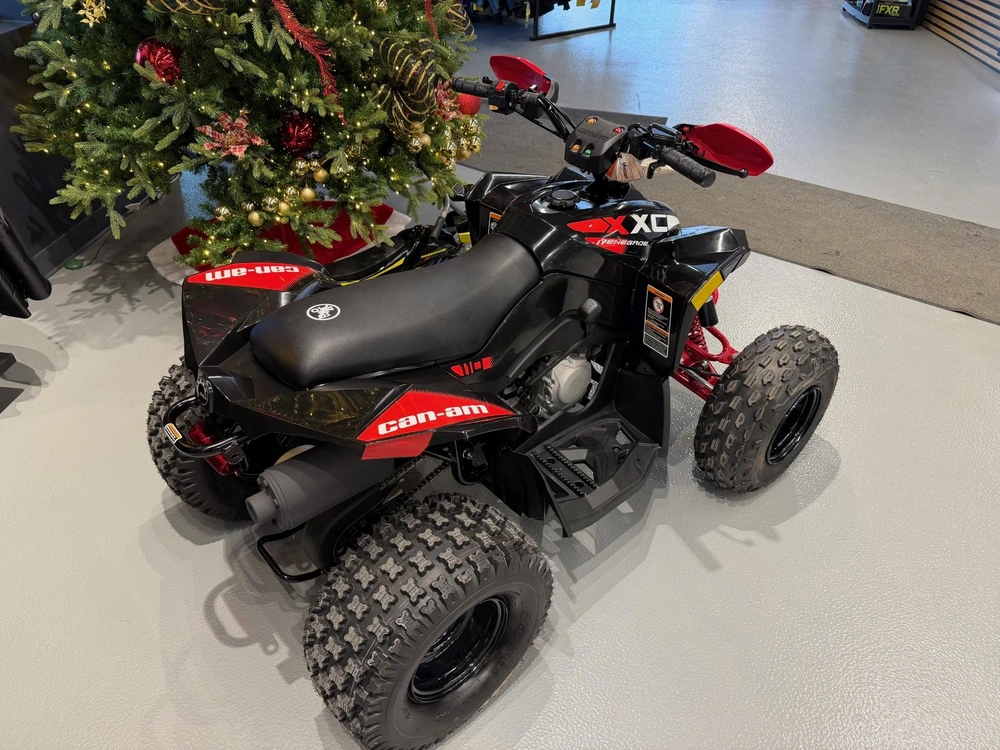 Can-am Renegade X Xc 110 Xxc 2026 alt