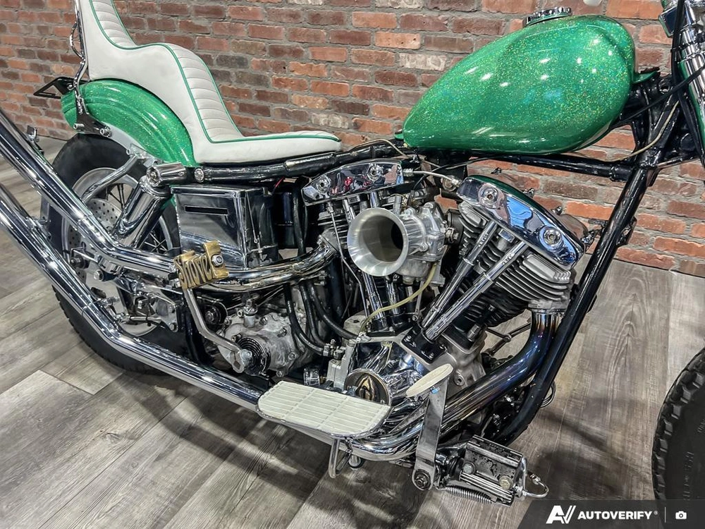 1981 Harley-davidson Fxef Custom alt