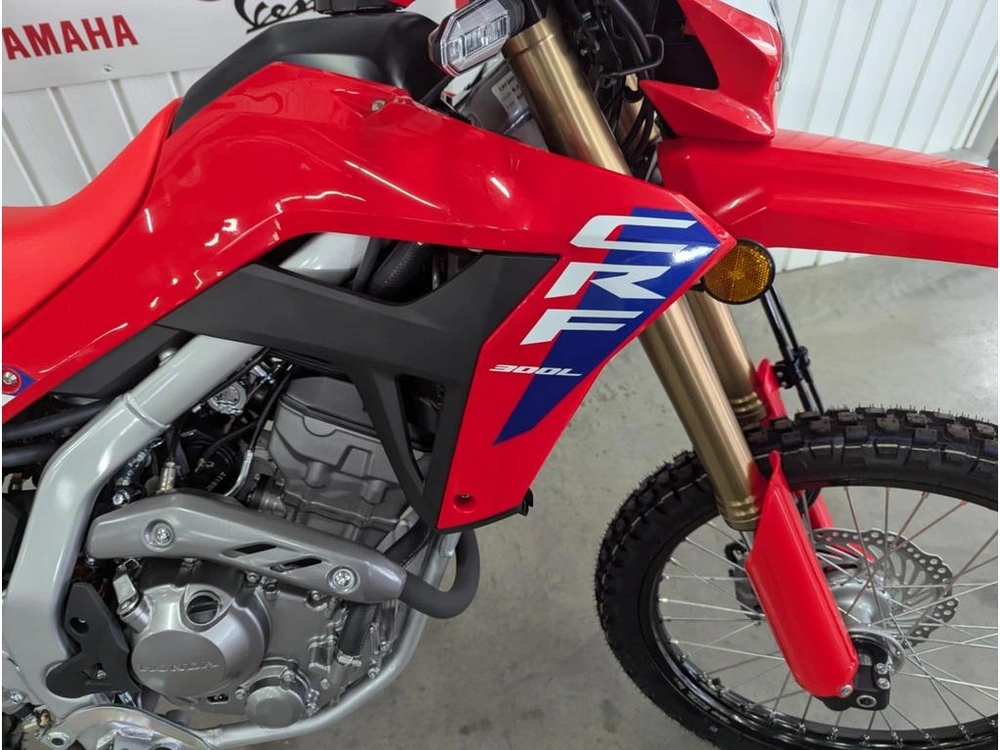 2025 Honda Crf300l alt