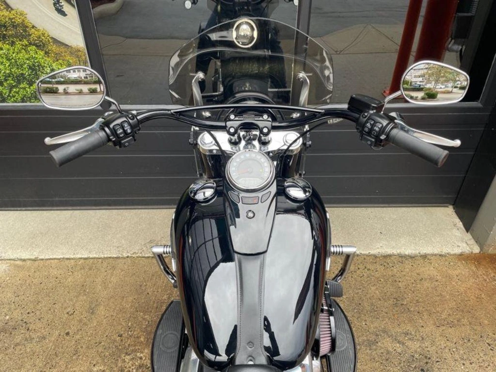 2021 Harley-davidson Flsl - Softail Slim™ alt