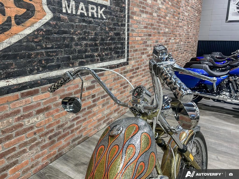 1975 Harley-davidson Fl-custom alt