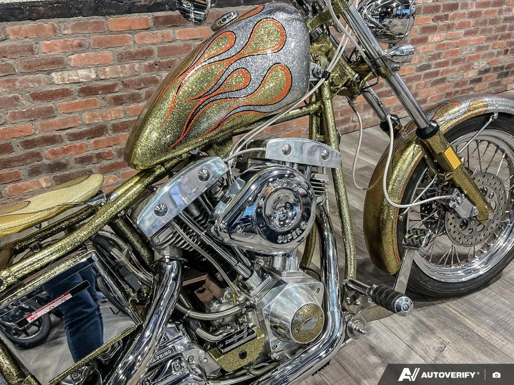 1975 Harley-davidson Fl-custom alt