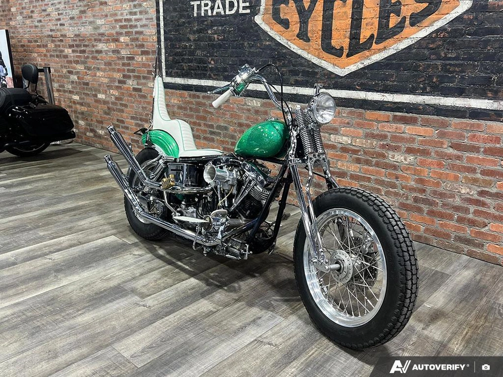 1981 Harley-davidson Fxef Custom alt