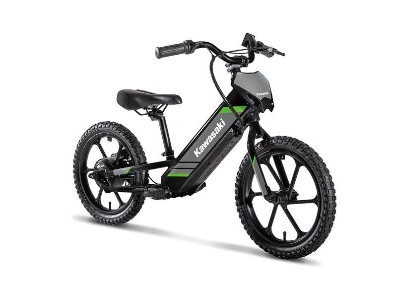 2025 Kawasaki Elektrode 16 alt