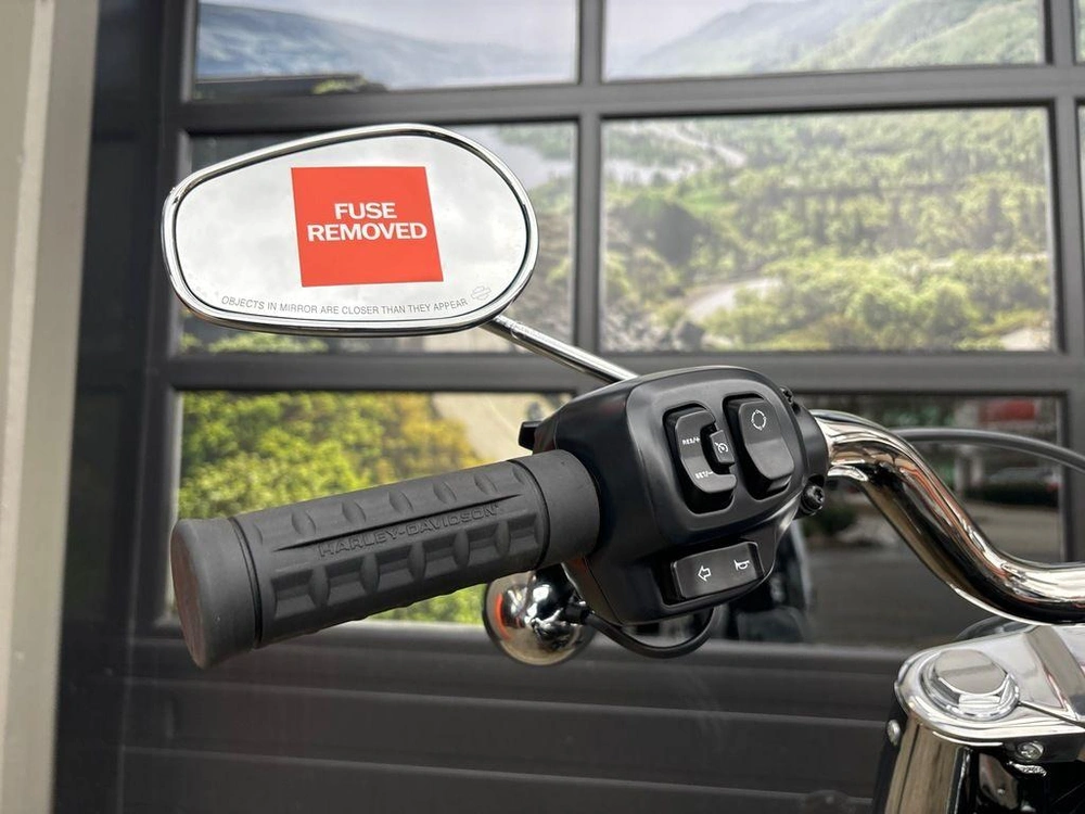 2025 Harley-davidson Flfb - Fat Boy™ alt