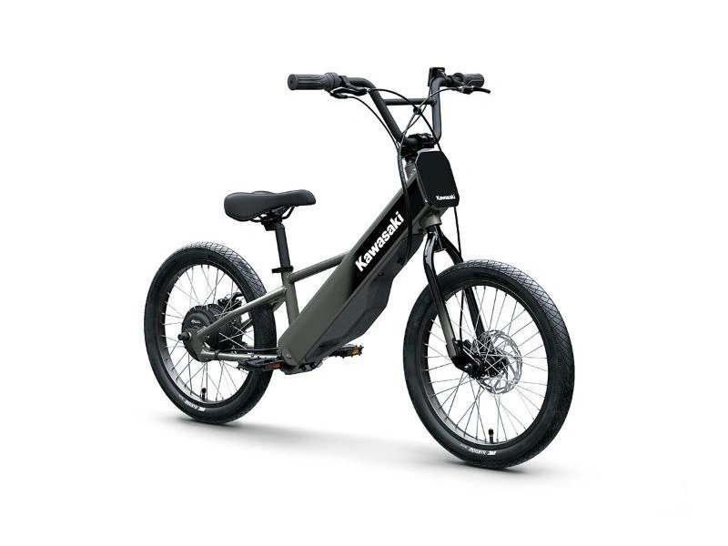 2025 Kawasaki Elektrode 20fs alt