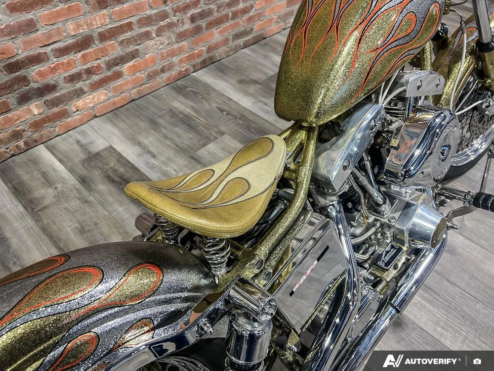 1975 Harley-davidson Fl-custom alt