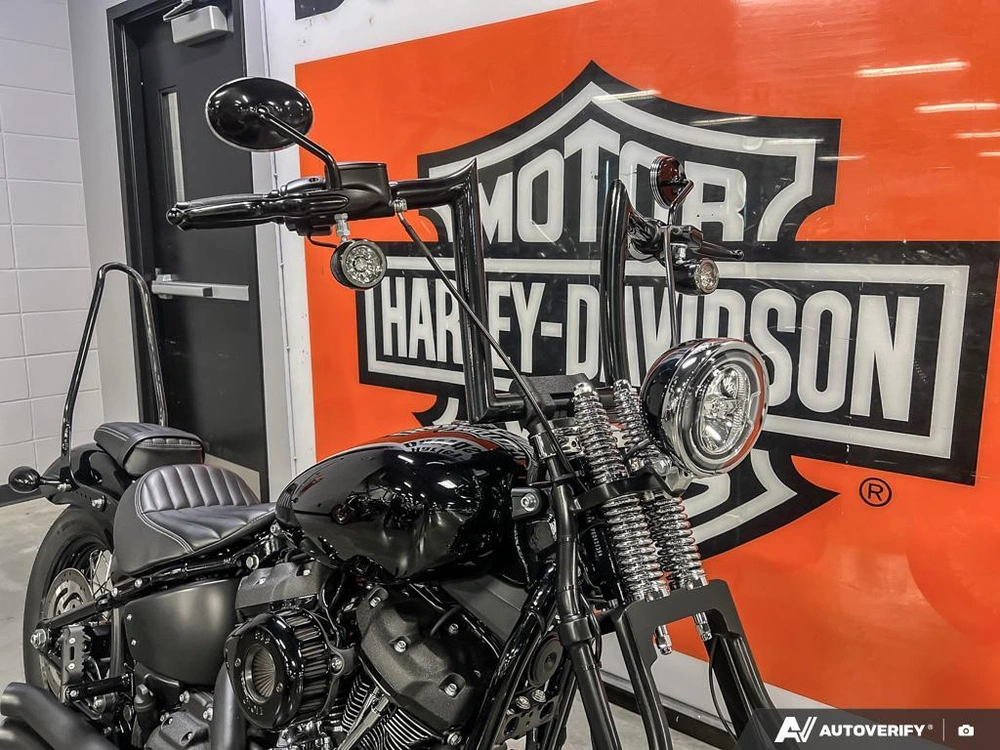 2023 Harley-davidson Street Bob alt